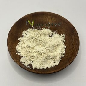 Pea Protein Powder Manufacturer - Hydrolyzed Isolate & Organic Non-GMO