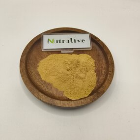 Fenugreek Extract Manufacturer - 50% & Bulk ISO HALAL