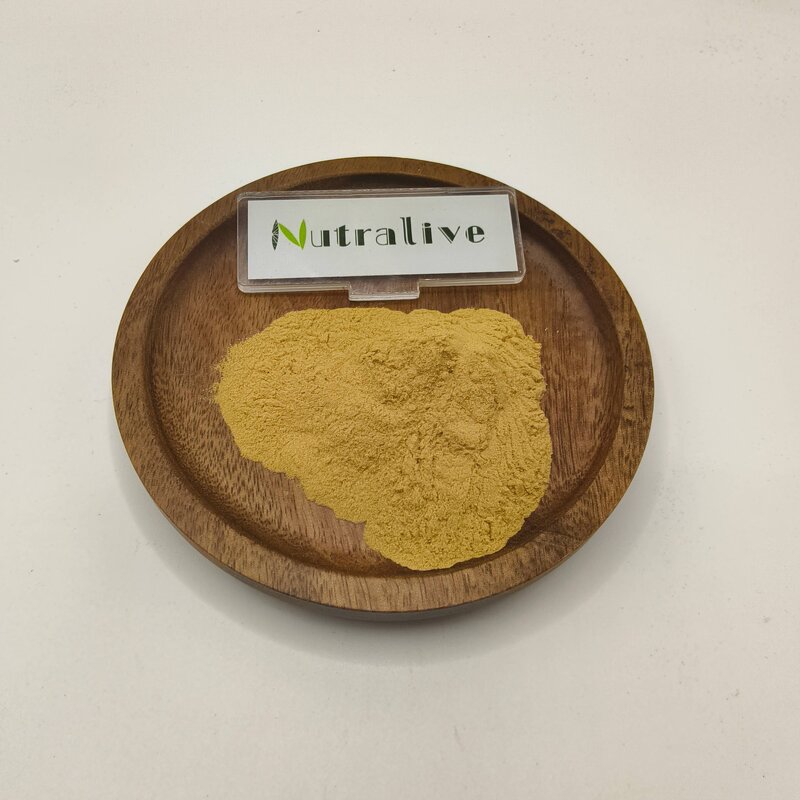 Fenugreek Extract Manufacturer - 50% & Bulk ISO HALAL