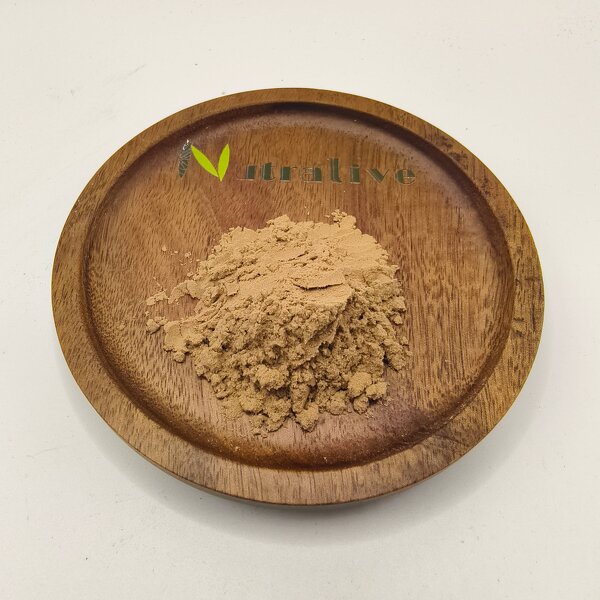 Ashwagandha Powder Manufacturer - Bulk Supply