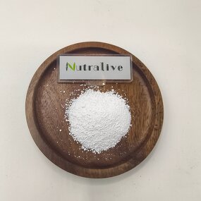 L-Ergothioneine Manufacturer - Cosmetic Grade 99% & ISO HALAL