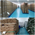 Alfalfa Extract Powder Manufacturer - 100% Natural Organic & ISO HALAL