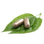 L-Theanine Capsules - Manufacturer - OEM Private Label Vitamin B6 B12 Energy Adults Children