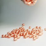 Vegan Omega 3 Supplement - Manufacturer - Algae Oil Brain Heart Immune Health Softgel