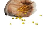 Omega 3 Fish Oil Softgel - Manufacturer - 1000mg Lemon Flavor EPA DHA Capsule