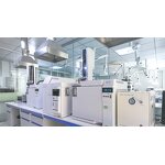 CoQ10 Gummies - Manufacturer - Sugar Free Dietary Supplements Chewable Gummy