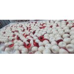 4D Gummy Bears Bulk - Manufacturer - Wholesale Halal Custom Mixed Fruit Box Bottle Ball