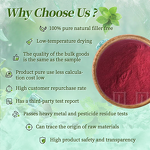 Beetroot Powder - Manufacturer - Food Grade Natural Red Beet Root Extract Powder