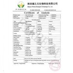 MCT Oil Powder - Manufacturer - Private Label Bulk 100% Pure Organic Coconut MCT Powder