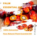 Palm Essential Oil - Manufacturer - High Quality Private Label 100% Pure Organic Bulk