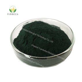 Chlorophyllin Powder - Manufacturer - High Quality Food Grade Water Soluble Sodium Magnesium