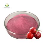 Acerola Cherry Extract - Manufacturer - Wholesale 10:1 Organic Juice Concentrate Powder