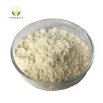 Rennet Casein - Manufacturer - Good Price High Quality Bulk Rennet Casein Powder