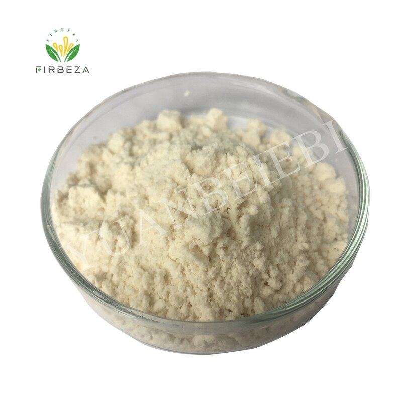 Rennet Casein - Manufacturer - Good Price High Quality Bulk Rennet Casein Powder