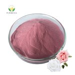 Rose Flower Extract - Manufacturer - Bulk 20:1 100% Natural Organic Rose Petals Powder