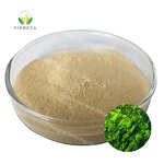 Fucoidan Powder - Manufacturer - Super Food 5%-95% Seaweed Kelp Extract Pure Powder