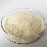 Pea Protein Powder - Manufacturer - Wholesale High Protein Bulk Organic 80% Isolate