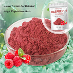 Raspberry Extract - Manufacturer - Bulk Freeze Dried Natural Organic Red Raspberry Powder