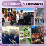 Bitter Melon Extract - Manufacturer - 30:1 Water Soluble Pure Organic Bulk Bitter Gourd Powder