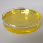 Pyrethrum Extract - Manufacturer - Wholesale 100% Pure 25% 50% Pyrethrins Oil in Bulk