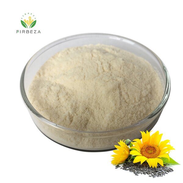 Sunflower Lecithin - Manufacturer - Wholesale Bulk 100% Pure Organic Phosphatidylcholine