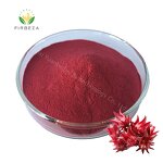 Roselle Hibiscus Extract - Manufacturer - Bulk 100% Natural Organic Red Pigment Juice Powder