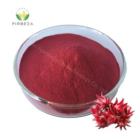 Roselle Hibiscus Extract - Manufacturer - Bulk 100% Natural Organic Red Pigment Juice Powder