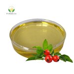 Rosehip Seed Oil - Manufacturer - Cold Pressed 100% Pure Natural Organic Bulk Carrier