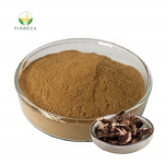 Black Cohosh Extract - Manufacturer - Wholesale Organic Cimicifuga Racemosa Root Extract