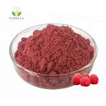 Raspberry Extract - Manufacturer - Bulk Freeze Dried Natural Organic Red Raspberry Powder