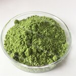 Moringa Extract Powder - Manufacturer - Bulk 100% Pure Organic 10:1 Leaf Extract Powder