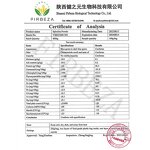 Spirulina Powder - Manufacturer - 65% Protein Wholesale Bulk Pure Organic Algae Extract