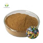 Barberry Extract - Manufacturer - Factory Bulk Damnacanthus Indicus Berberis Vulgaris Powder
