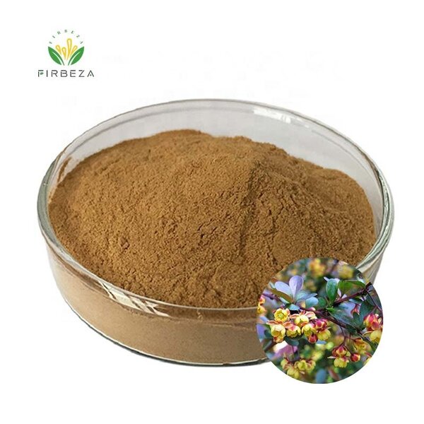 Barberry Extract - Manufacturer - Factory Bulk Damnacanthus Indicus Berberis Vulgaris Powder