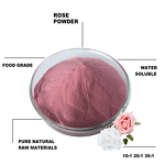 Rose Flower Extract - Manufacturer - Bulk 20:1 100% Natural Organic Rose Petals Powder