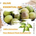 Olive Essential Oil - Manufacturer - Wholesale Cosmetic Grade Cold Pressed Virgin Organic