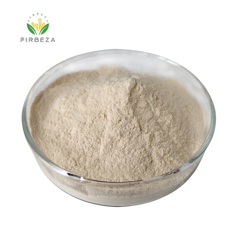 Beta Glucan Powder - Manufacturer - Bulk 80% Yeast Beta-glucan Pure Natural Powder