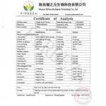 Monk Fruit Extract - Manufacturer - Mogroside V Wholesale Pure Natural Luo Han Guo Powder