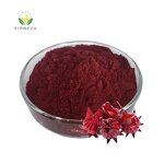 Hibiscus Extract Powder - Manufacturer - 100% Pure Natural Organic Roselle Flower Juice Powder