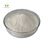 Lactobacillus Powder - Manufacturer - Health Care Probiotic Bacteria Digestion Promoting