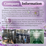 Lemon Extract Powder - Manufacturer - Good Price 100% Organic Lemon Fruit Juice Concentrate