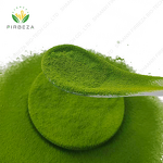 Matcha Powder - Manufacturer - Ceremonial Grade Bulk Wholesale Organic Green Tea Powder