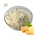 Cheese Flavor Powder - Manufacturer - High Quality Wholesale Bulk Pure Organic Cream Powder