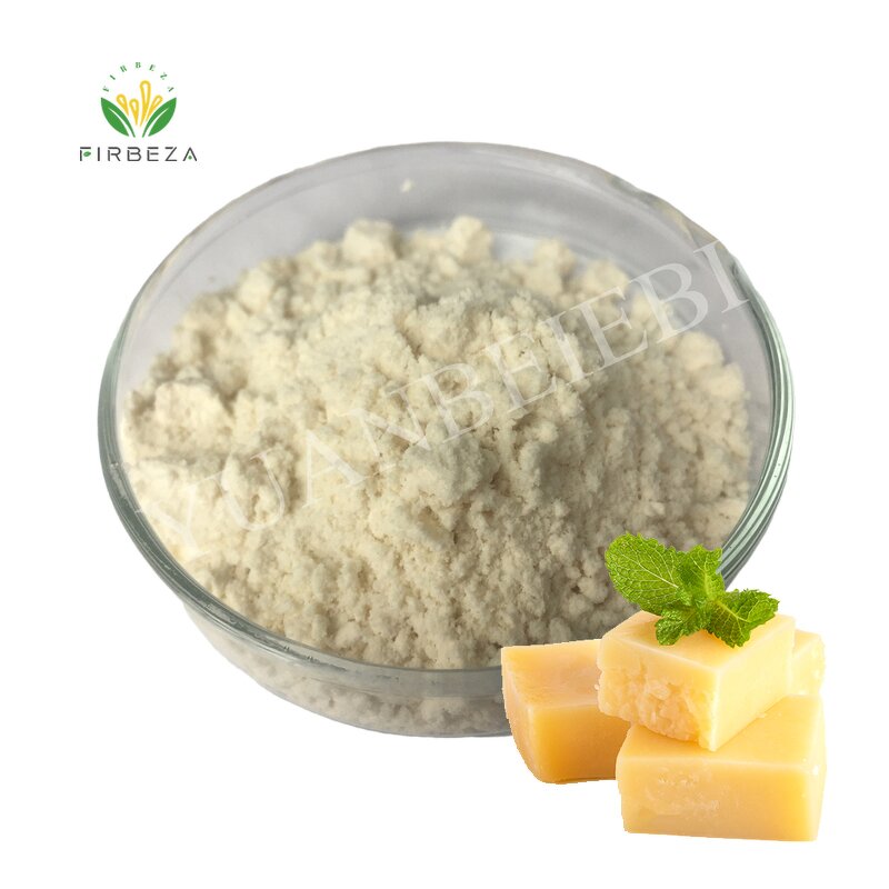 Cheese Flavor Powder - Manufacturer - High Quality Wholesale Bulk Pure Organic Cream Powder
