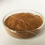 Ashwagandha Powder - Manufacturer - Bulk Organic 2.5% 5% Withanolides Root Extract Powder
