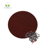 Elderberry Extract - Manufacturer - Best Price Bulk Pure Organic 25% Anthocyanin Powder