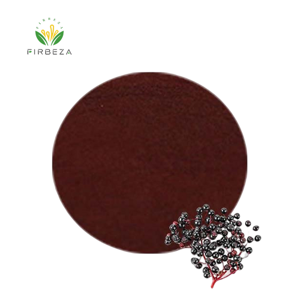 Elderberry Extract - Manufacturer - Best Price Bulk Pure Organic 25% Anthocyanin Powder