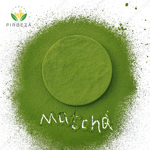 Matcha Powder - Manufacturer - Wholesale Pure Ceremonial Grade Organic Green Tea Powder