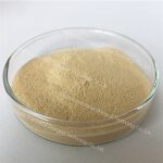 Fucoidan Powder - Manufacturer - Super Food 5%-95% Seaweed Kelp Extract Pure Powder