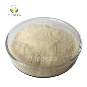 Chitosan Lactate - Manufacturer - CAS 148411-57-8 Food Grade Water Soluble Powder